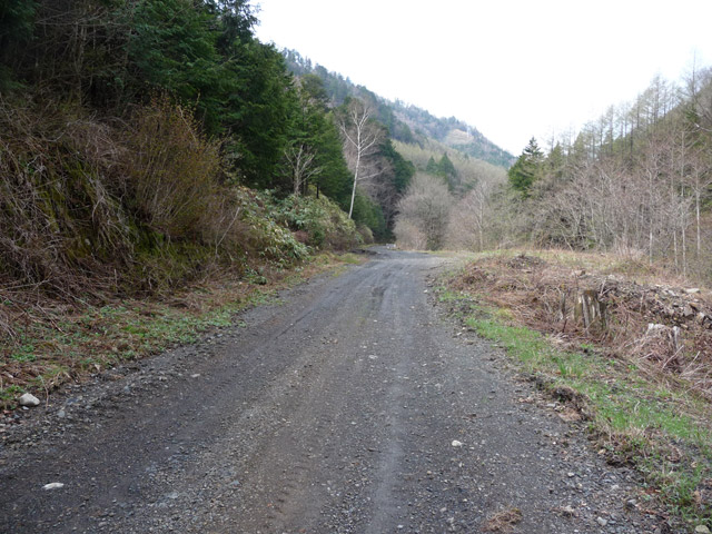 �����ѓS,�p����,���ؑ]�X�ѓS��