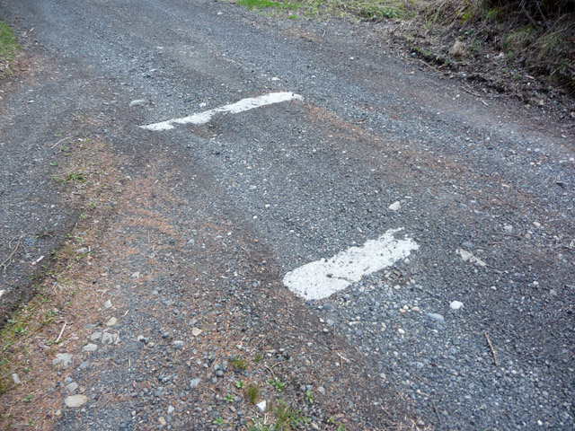 �����ѓS,�p����,���ؑ]�X�ѓS��,�O���䒠