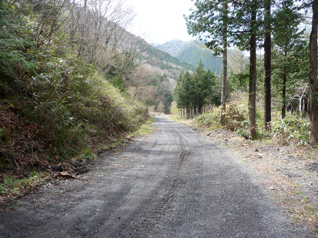 �����ѓS,�p����,���ؑ]�X�ѓS��