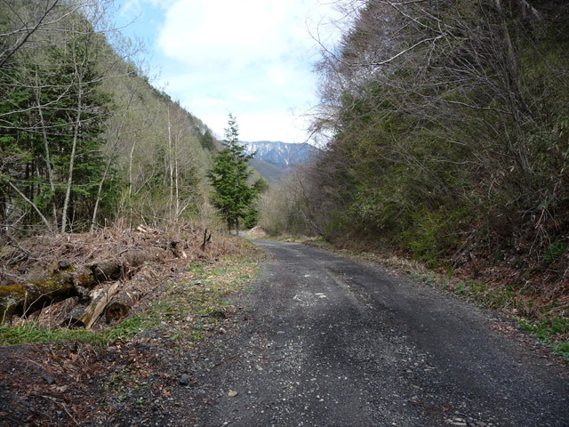 �����ѓS,�p����,���ؑ]�X�ѓS��,�ѓ�