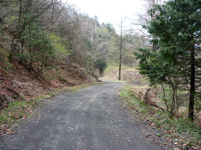 �����ѓS,�p����,���ؑ]�X�ѓS��,�ѓ�