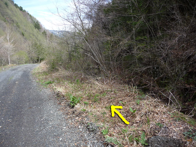 �����X�ѓS��,�p����,�ѓS