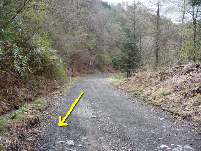 �����X�ѓS��,�p����,�ѓS