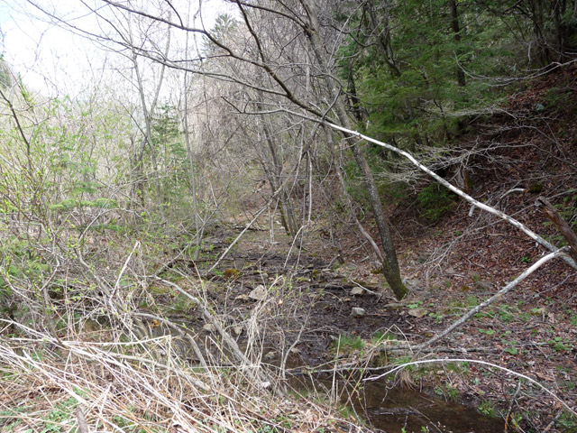 �����X�ѓS��,�p����,�ѓS