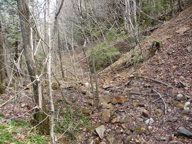 �����X�ѓS��,�p����,�ѓS,����