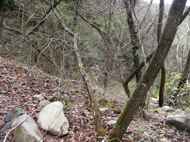 �����ѓS,�p����,���ؑ]�X�ѓS��