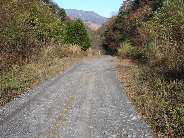 �����ѓS,�p����,���ؑ]�X�ѓS��,�ѓ�