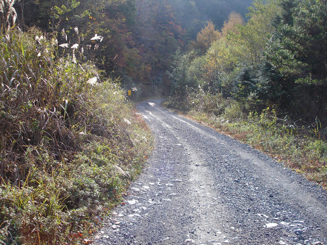 �����ѓS,�p����,���ؑ]�X�ѓS��,�ѓ�,���z