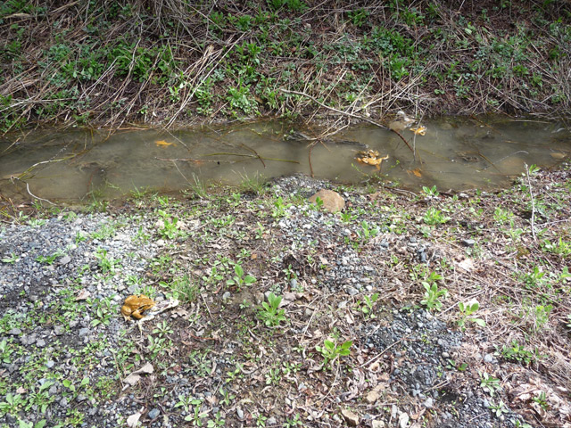 �q�L�K�G��,�Y��,���