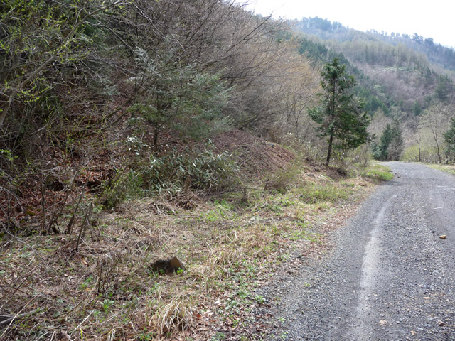 �����X�ѓS��,�ѓS,�p����,�ѓ�