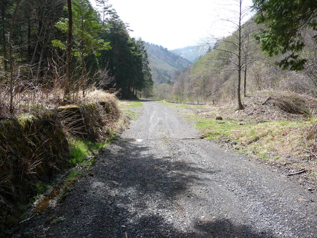 �����X�ѓS��,�p����,�ѓS,��R�_�_��,���X�쐻�i���Ə�