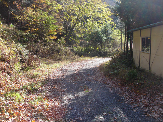 �����X�ѓS��,�p����,�ѓS,���h��,���X�쐻�i���Ə�