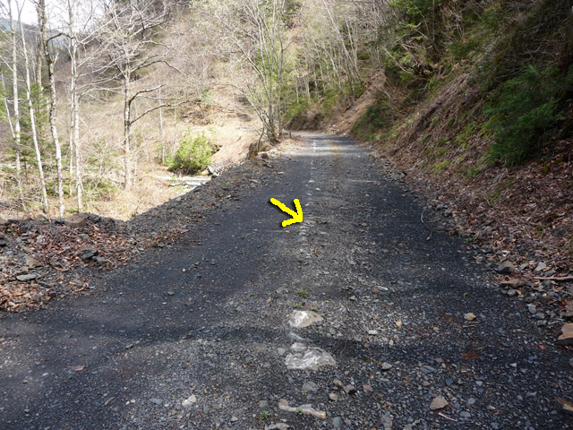 �����X�ѓS��,�ѓS,�p����,����