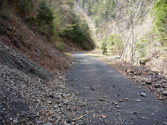 �����X�ѓS��,�ѓS,�p����,����