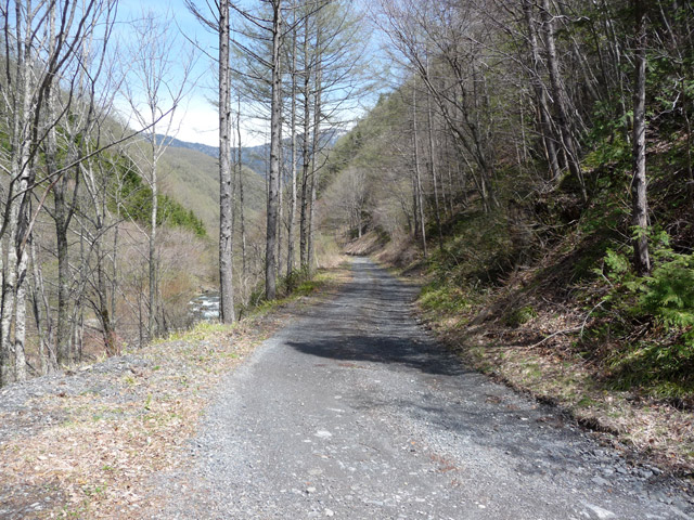 �����X�ѓS��,�ѓS,�p����,����