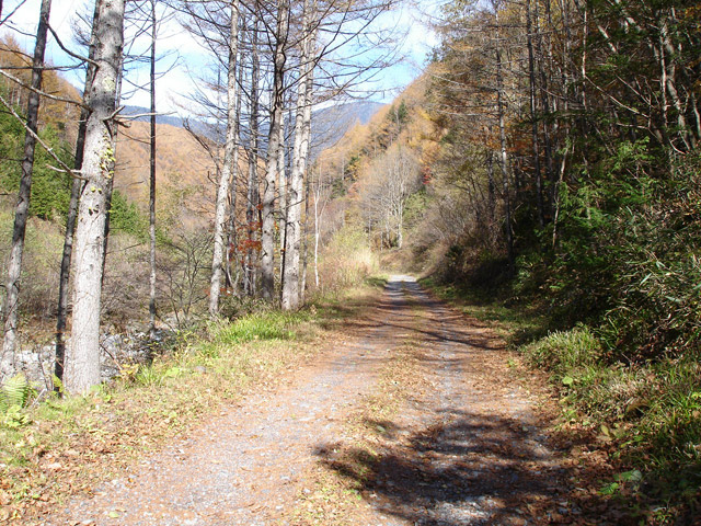 �����X�ѓS��,�ѓS,�p����,����