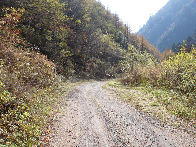 �����X�ѓS��,�ѓS,�p����,����