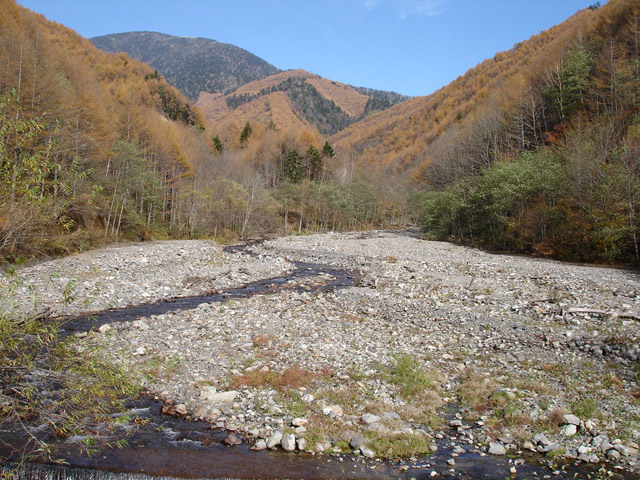 �����X�ѓS��,��1������,�ѓS,�p����,������,�؋�