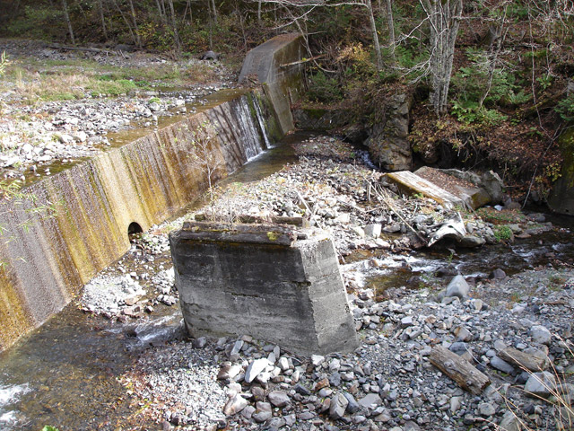 �����X�ѓS��,��1������,�ѓS,�p����,�؋��s�A