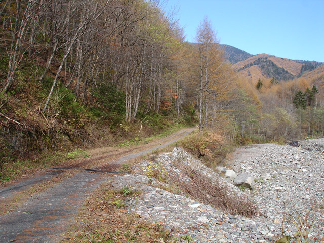 �����X�ѓS��,����,�ѓS,�p����,�ѓ�