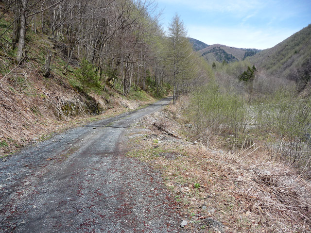 �����X�ѓS��,����,�ѓS,�p����,�Ί_