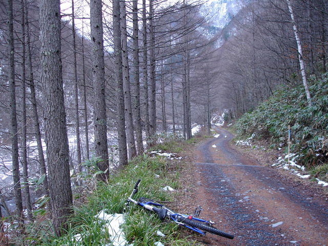 �����X�ѓS��,��]�R�c�򋴗�,�ѓS,�p����,�ѓ�