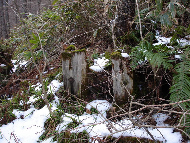 �����X�ѓS��,����,�ѓS,�p����,�؋�