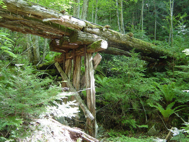 �����X�ѓS��,����,�ѓS,�p����,�؋�