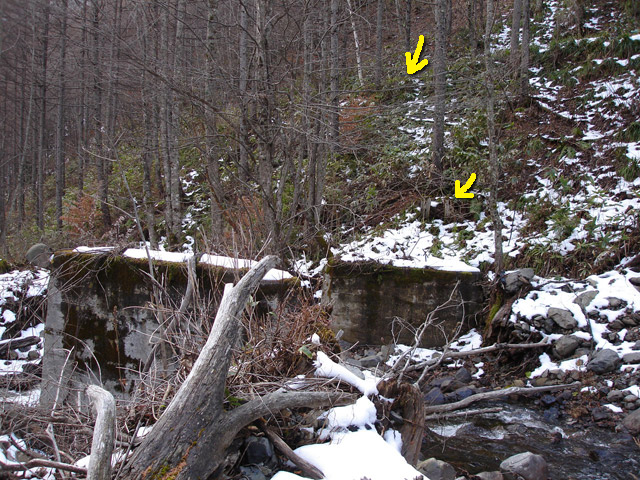 �����X�ѓS��,��]�R�c�򋴗�,�ѓS,�p����,�؋��s�A