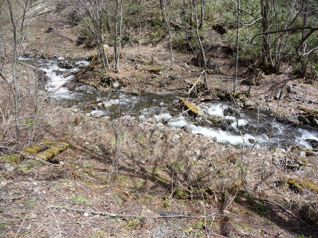 �����X�ѓS��,�ѓS,�p����,��]�R�c���ƋO��