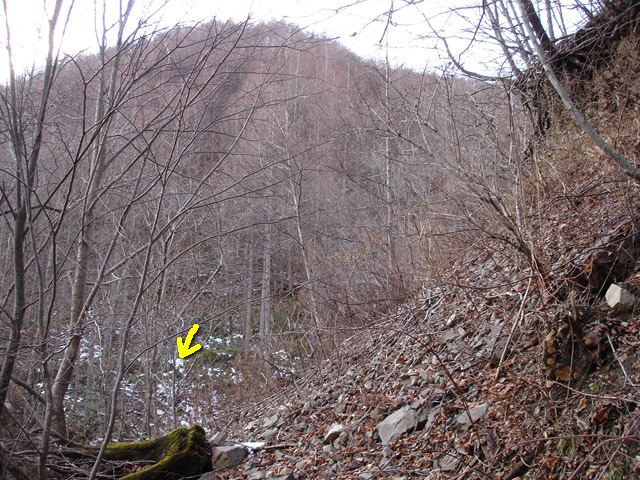 ���ؑ]�X�ѓS��,�����ѓS,�p����