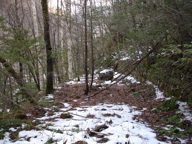 �����X�ѓS��,�p����,����,���X��,���ؑ]�ѓS