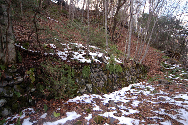 �����X�ѓS��,�p����,����,���X��,���ؑ]�ѓS