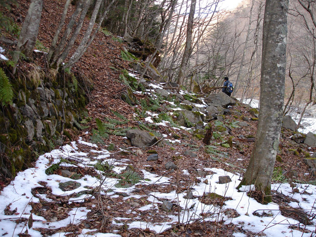 �����X�ѓS��,�p����,����,���X��,���ؑ]�ѓS