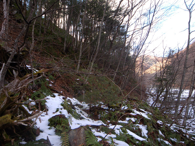 �����X�ѓS��,�p����,����,���X��,���ؑ]�ѓS