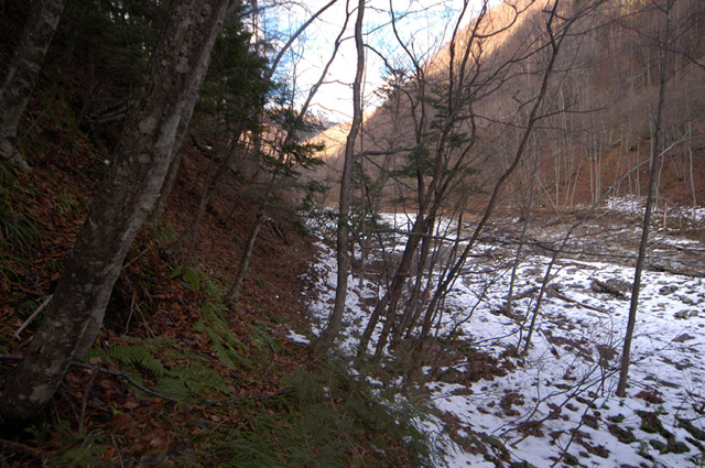 �����X�ѓS��,�p����,����,���X��,���ؑ]�ѓS