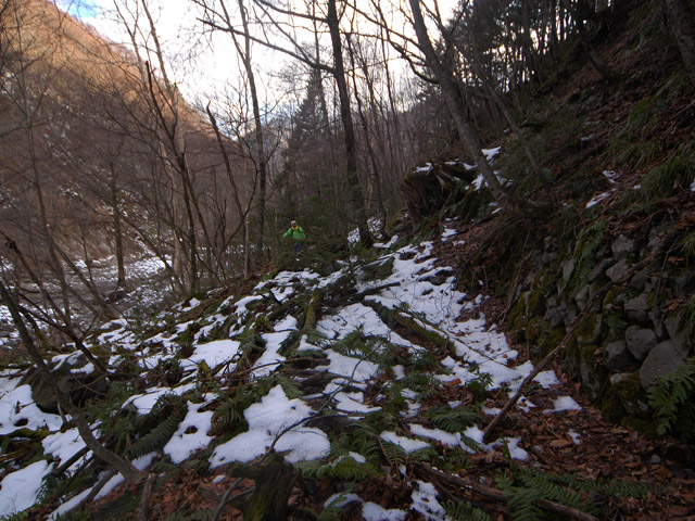 �����X�ѓS��,�p����,����,���X��,���ؑ]�ѓS