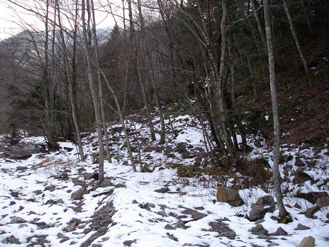 �����X�ѓS��,�p����,����,���X��,���ؑ]�ѓS