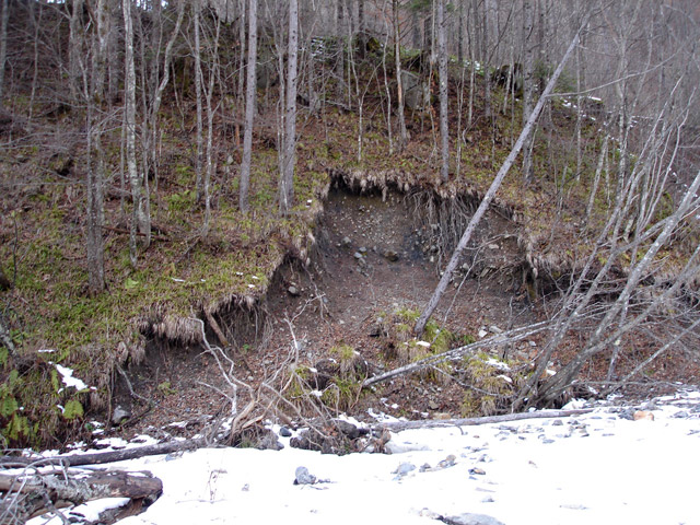 �����X�ѓS��,�p����,����,���X��,���ؑ]�ѓS