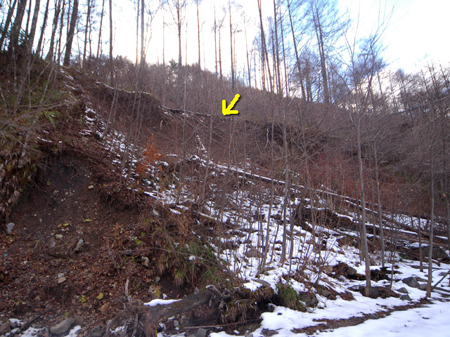 �����X�ѓS��,�p����,����,���X��,���ؑ]�ѓS