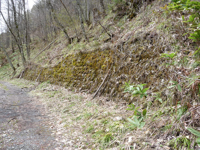 ���ؑ]�X�ѓS��,�����ѓS,�p����,�Ί_,�ѓ�