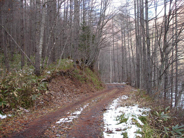 �����X�ѓS��,�p����,�ѓS,����