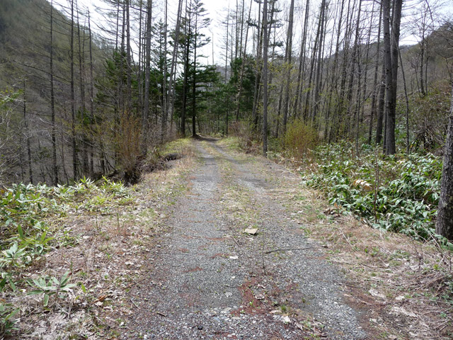 �����X�ѓS��,�p����,�ѓS,����