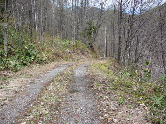 �����X�ѓS��,�p����,�ѓS,����