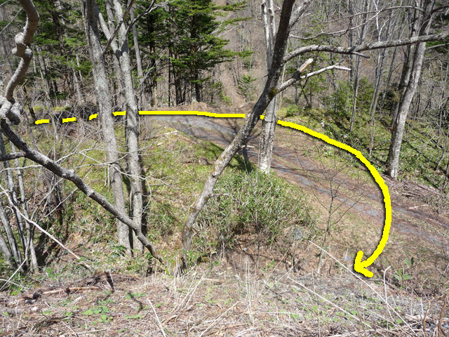 �����X�ѓS��,�p����,����,�w�A�s���J�[�u,�ѓS