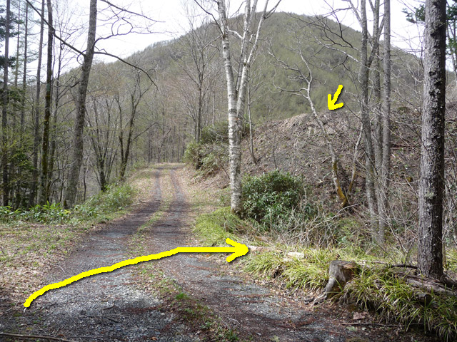 �����X�ѓS��,�p����,����,�w�A�s���J�[�u,�ѓS