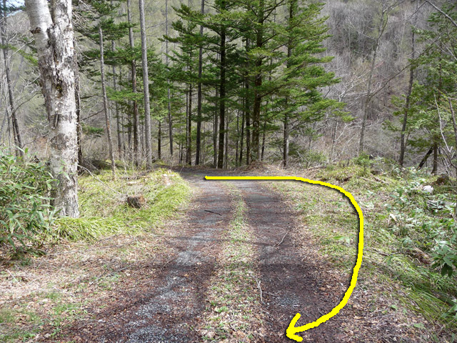 �����X�ѓS��,�p����,����,�w�A�s���J�[�u,�ѓS