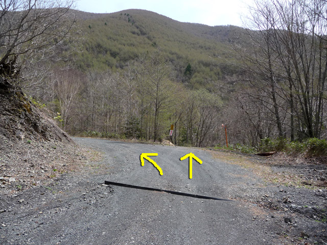 �����X�ѓS��,�p����,����,�w�A�s���J�[�u,�ѓS