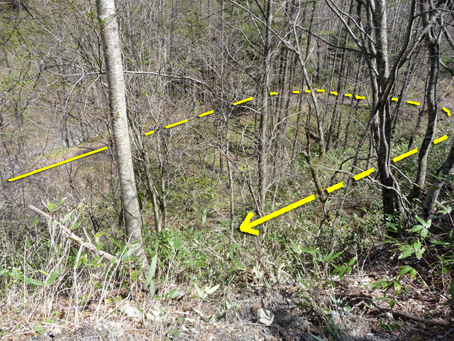 �����X�ѓS��,�p����,����,�w�A�s���J�[�u,�ѓS