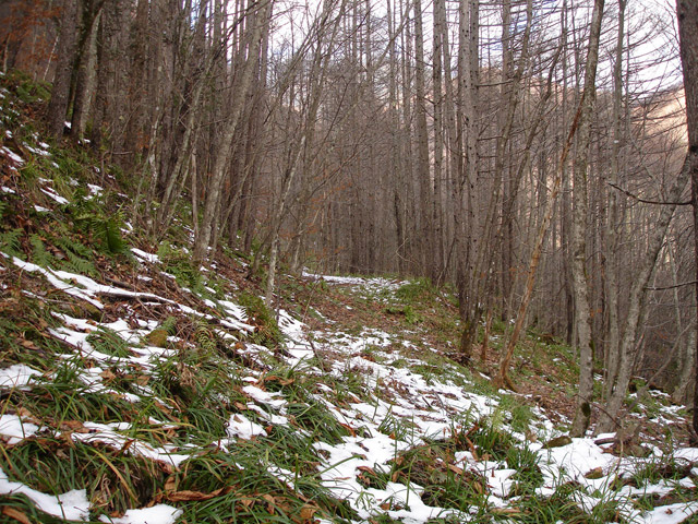 �����X�ѓS��,�p����,����,���ؑ]�ѓS,�ؑ]�X